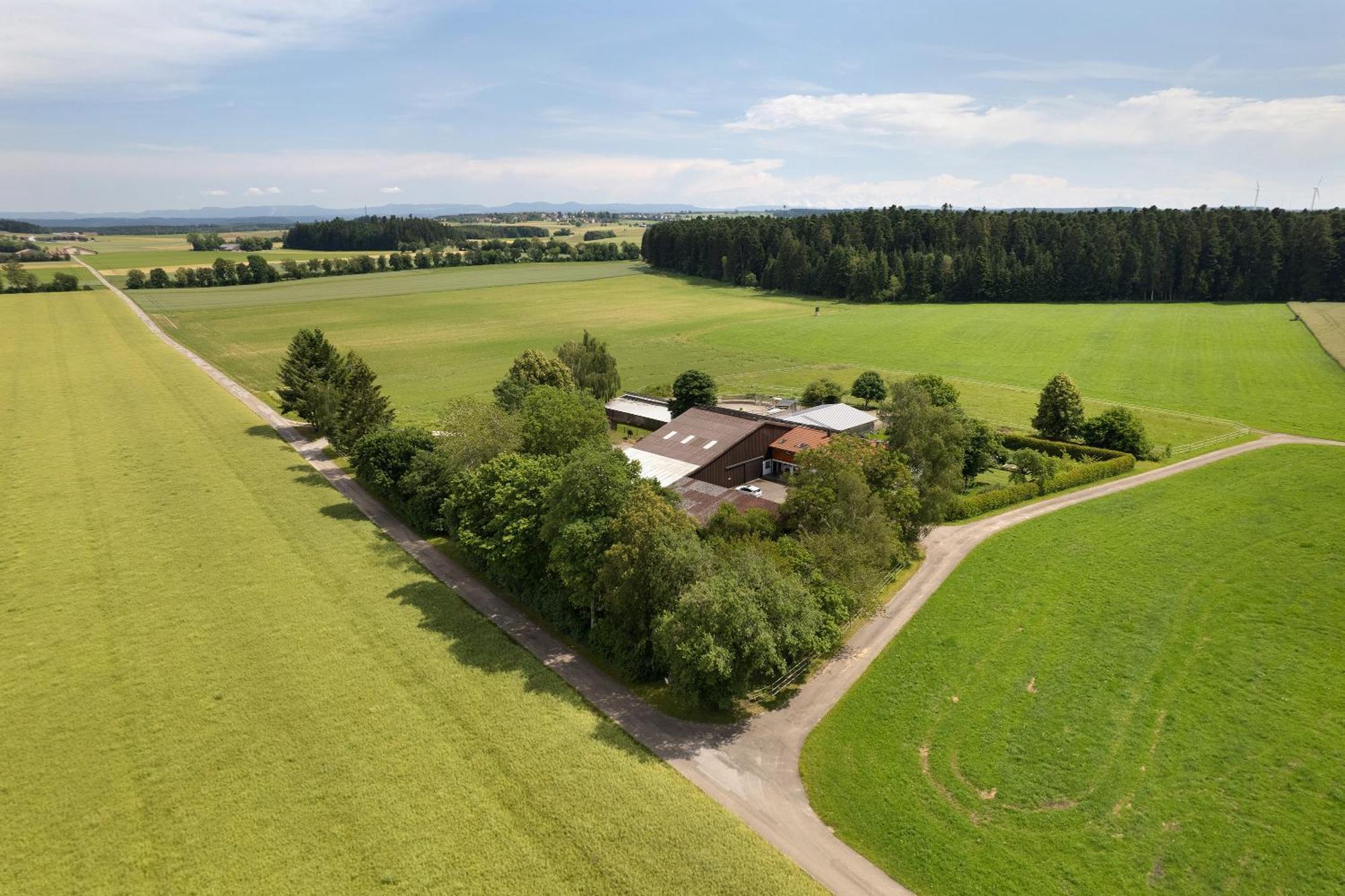 Fewo Naturliebe - Keine Monteure Dornhan Zewnętrze zdjęcie